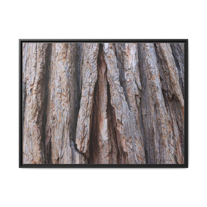 Nature's Sculpture - Unique Stretched Canvas Wall Art - Art By Earth