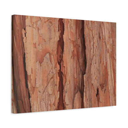 Bark Layers of Time - Unique Frameless Canvas Wall Art - Art By Earth