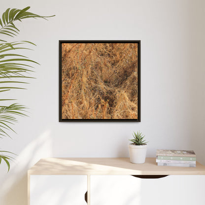 Dried Vegetation Study - Unique Stretched Canvas Wall Art - Art By Earth