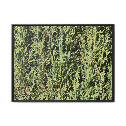 Emerald Labyrinth - Unique Stretched Canvas Wall Art - Art By Earth