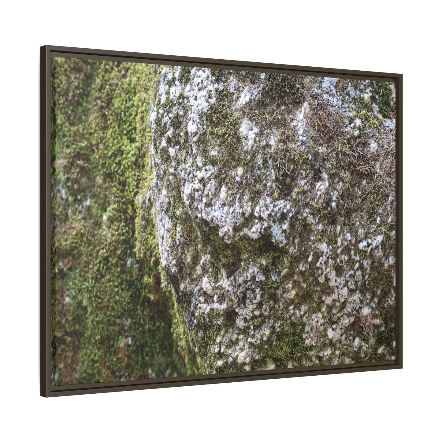 Lichen Landscape - Unique Stretched Canvas Wall Art - Art By Earth