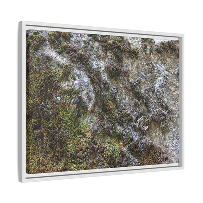 Mossy Whispers - Unique Stretched Canvas Wall Art - Art By Earth