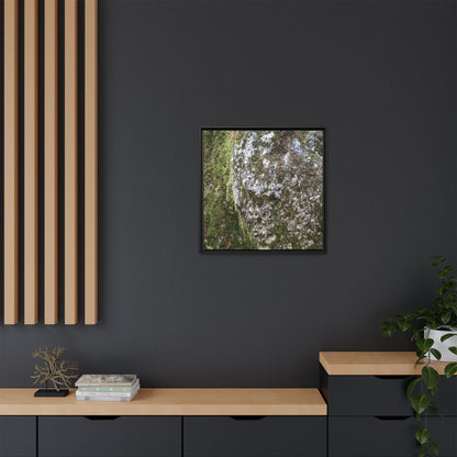 Lichen Landscape - Unique Stretched Canvas Wall Art - Art By Earth