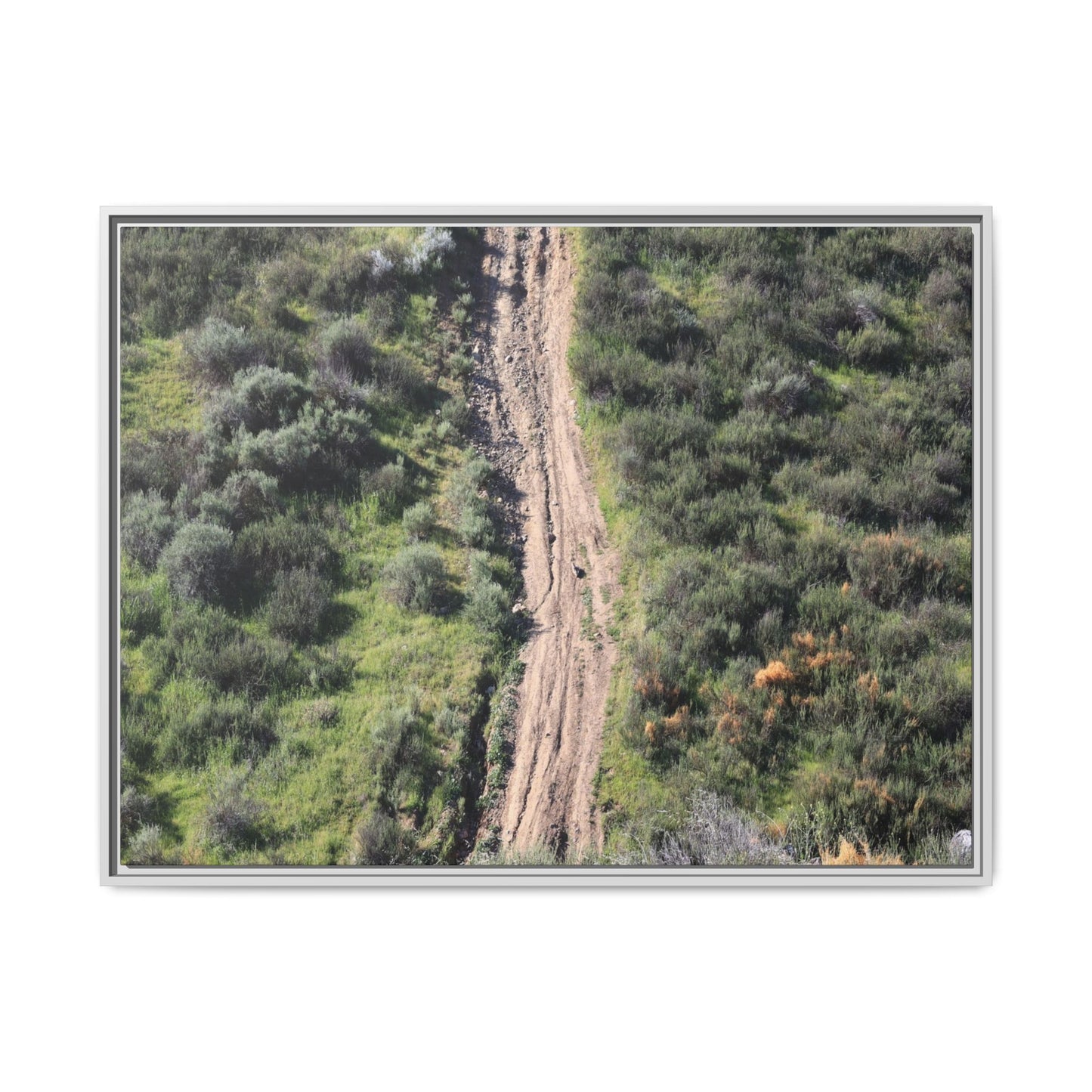 Desert Path Through Sage - Unique Stretched Canvas Wall Art - Art By Earth