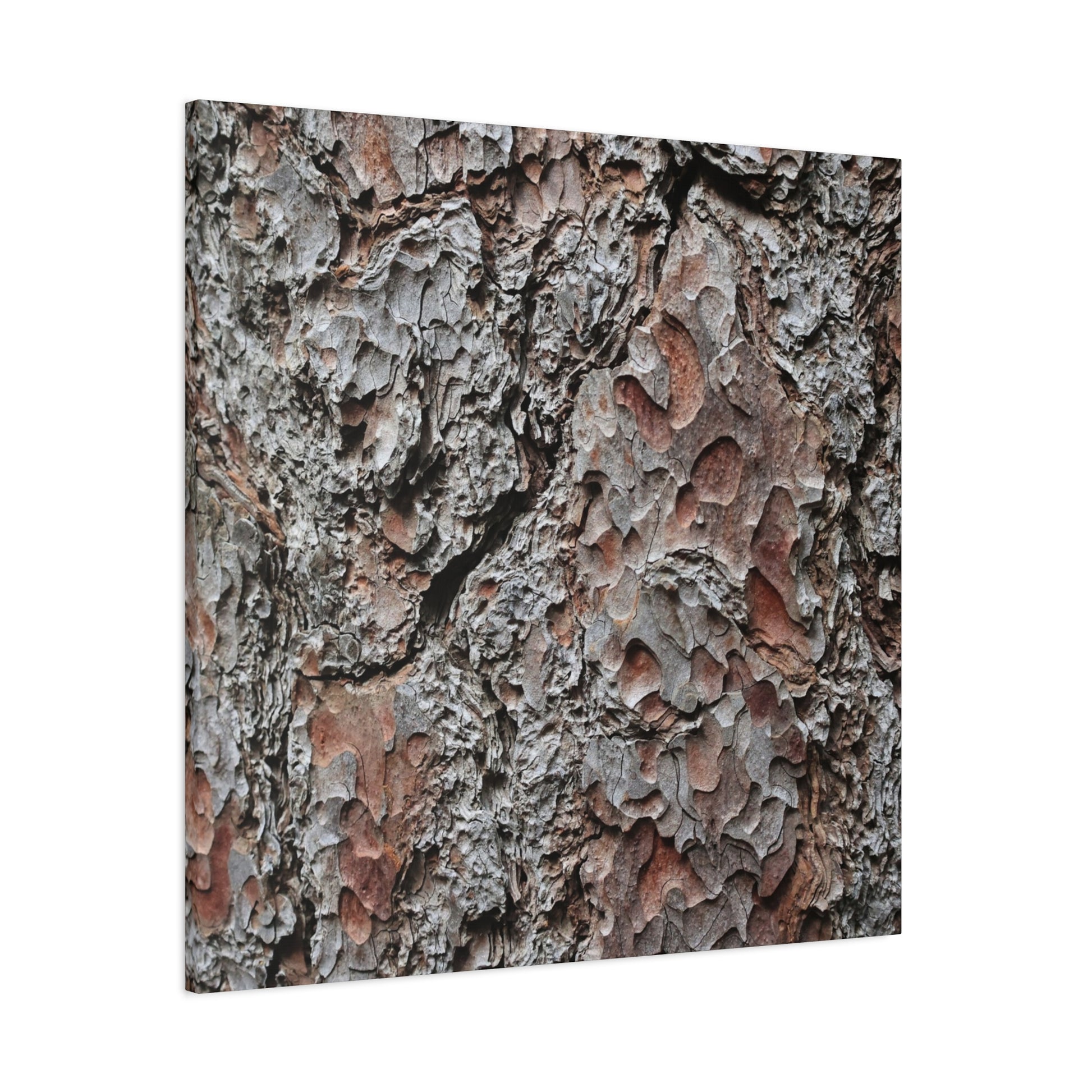 Textured Whispers of Bark - Unique Frameless Canvas Wall Art - Art By Earth