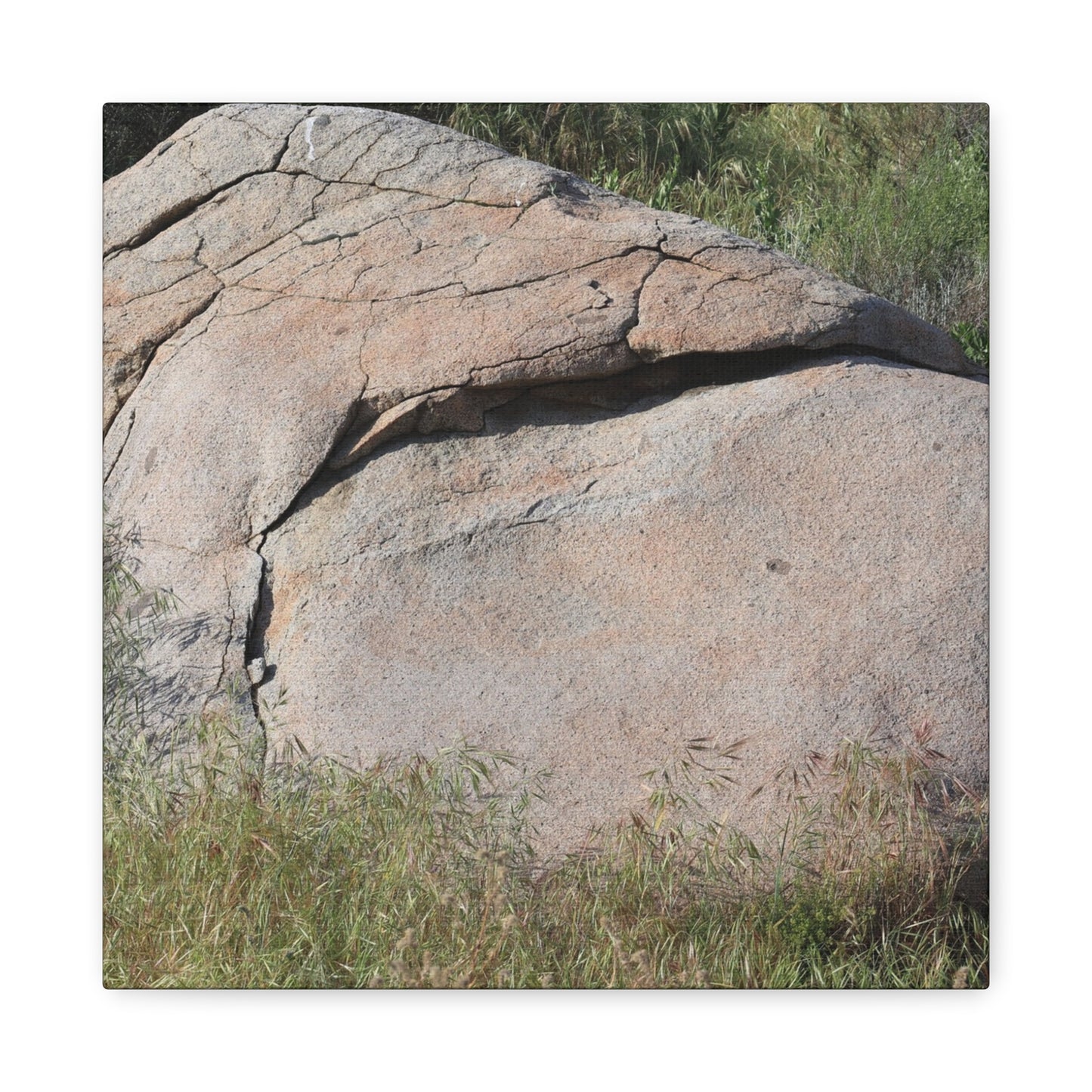 Granite Boulder in Desert Scrub - Unique Frameless Canvas Wall Art - Art By Earth