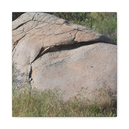 Granite Boulder in Desert Scrub - Unique Frameless Canvas Wall Art - Art By Earth
