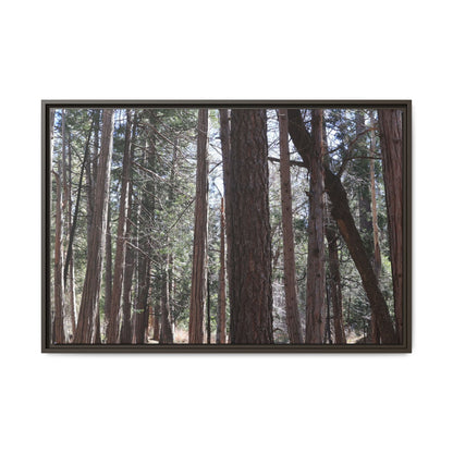 Forest Cathedral - Unique Stretched Canvas Wall Art - Art By Earth