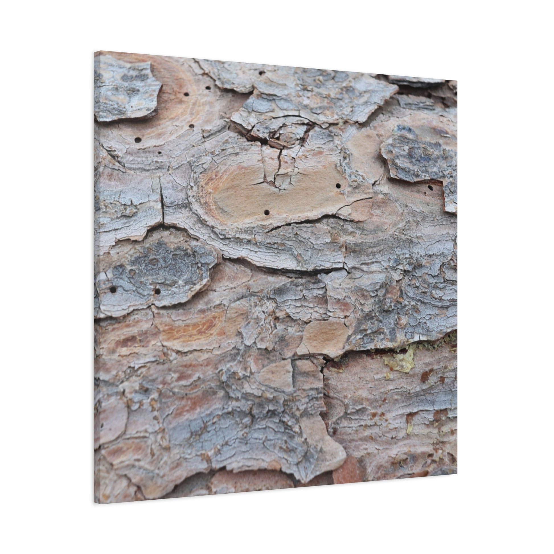 Textural Geology - Unique Frameless Canvas Wall Art - Art By Earth