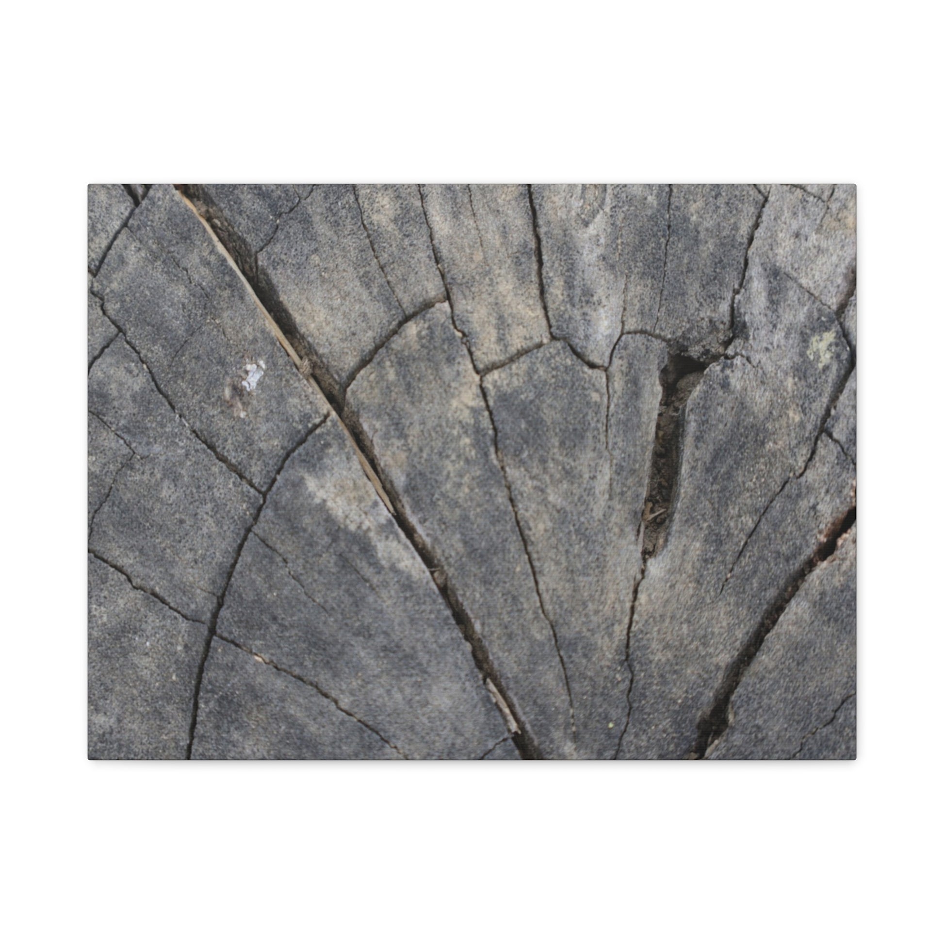 Geological Mosaic - Unique Frameless Canvas Wall Art - Art By Earth