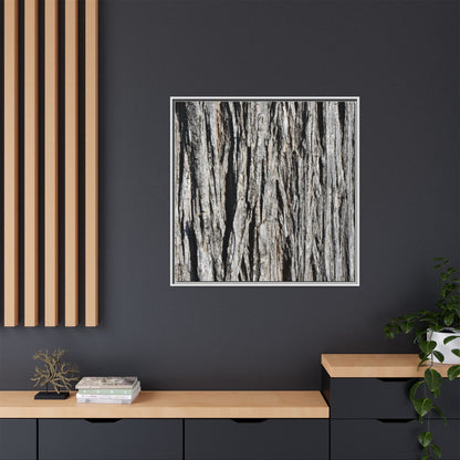 Nature's Abstract - Unique Stretched Canvas Wall Art - Art By Earth