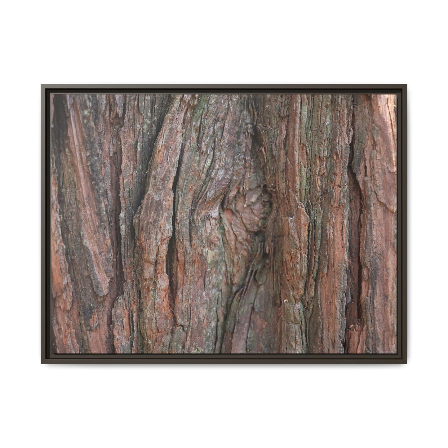 Rugged Textures - Unique Stretched Canvas Wall Art - Art By Earth