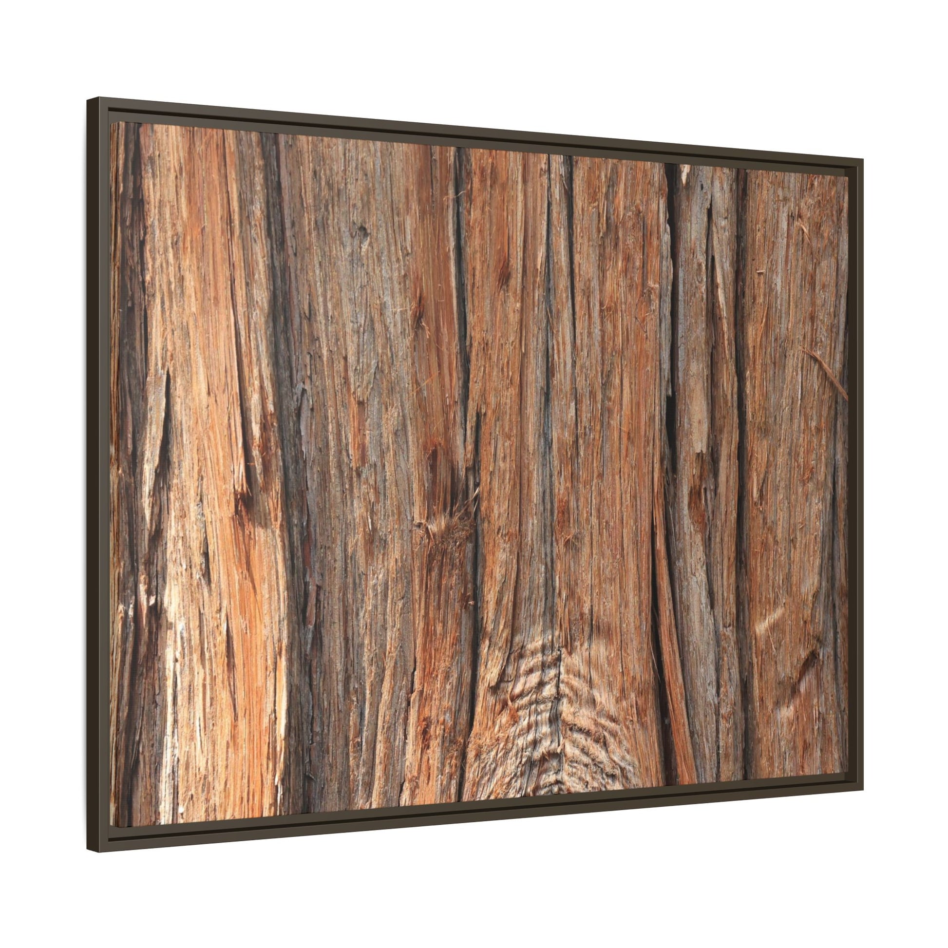 Echoes of Timber - Unique Stretched Canvas Wall Art - Art By Earth