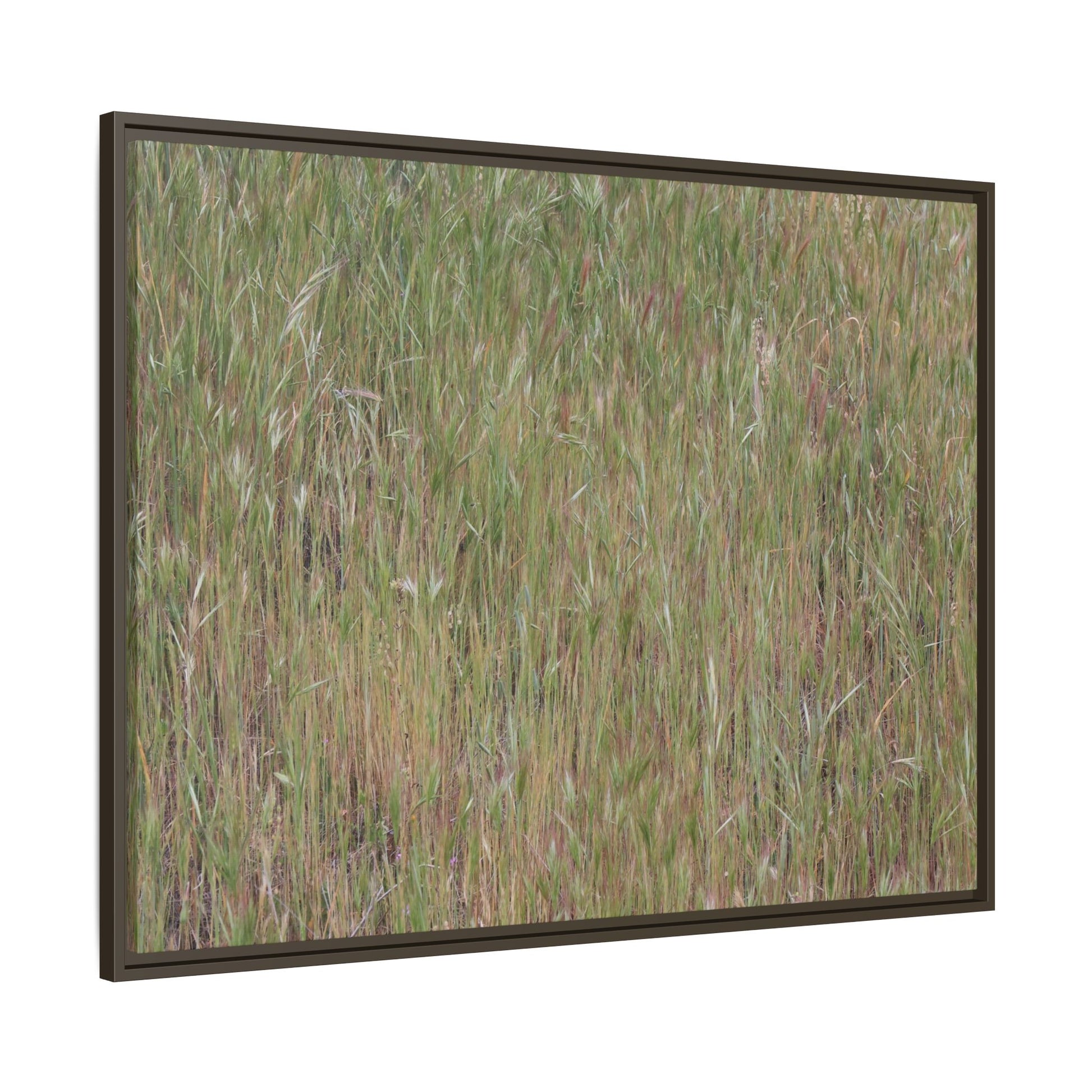 Field of Dreams - Unique Stretched Canvas Wall Art - Art By Earth