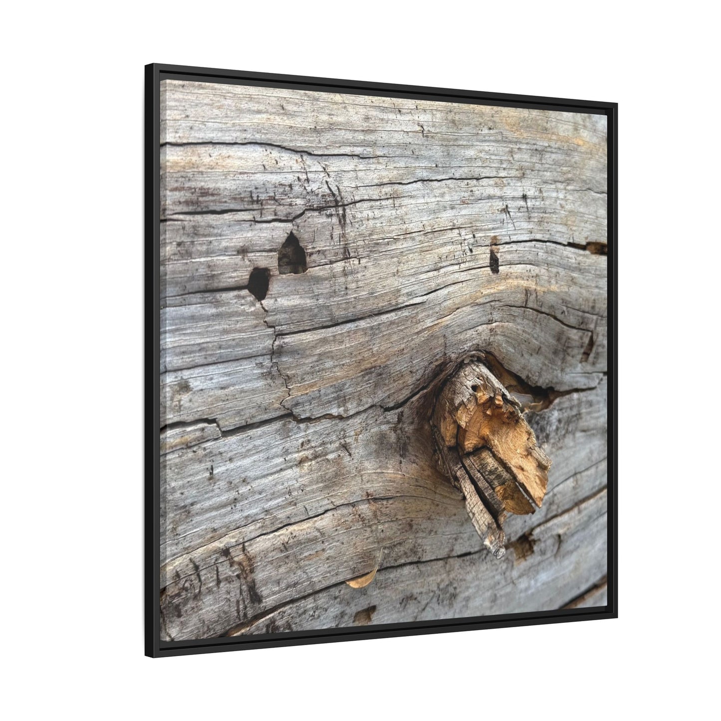 Weathered Wood Texture - Unique Stretched Canvas Wall Art - Art By Earth