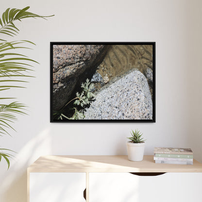 Resilience in Stone - Unique Stretched Canvas Wall Art - Art By Earth