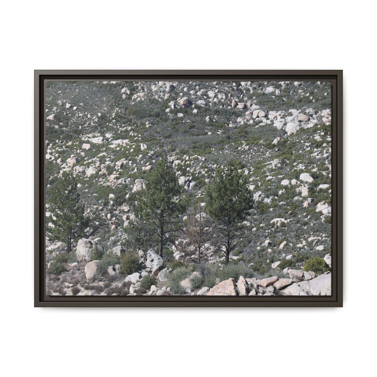 Rocky Hillside with Pine Trees - Unique Stretched Canvas Wall Art - Art By Earth