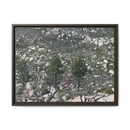 Rocky Hillside with Pine Trees - Unique Stretched Canvas Wall Art - Art By Earth