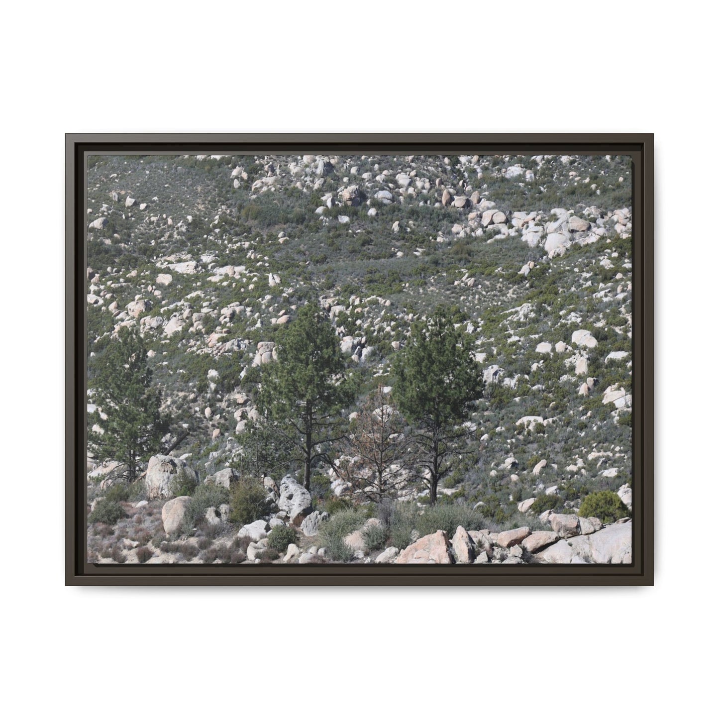 Rocky Hillside with Pine Trees - Unique Stretched Canvas Wall Art - Art By Earth