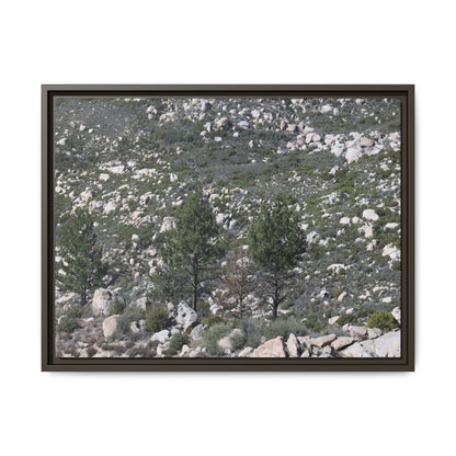 Rocky Hillside with Pine Trees - Unique Stretched Canvas Wall Art - Art By Earth