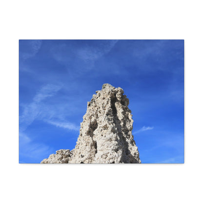 Reaching Skyward - Unique Frameless Canvas Wall Art