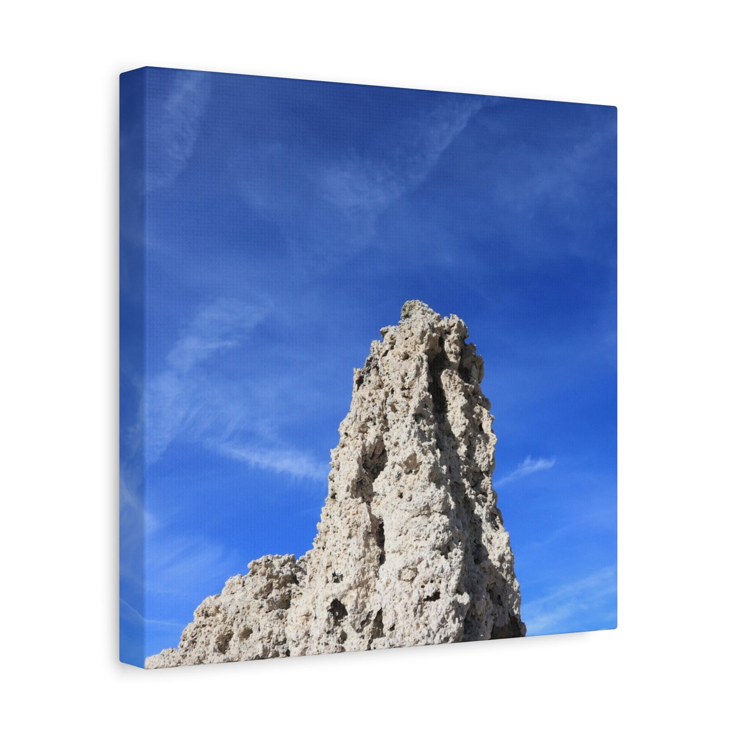 Reaching Skyward - Unique Frameless Canvas Wall Art