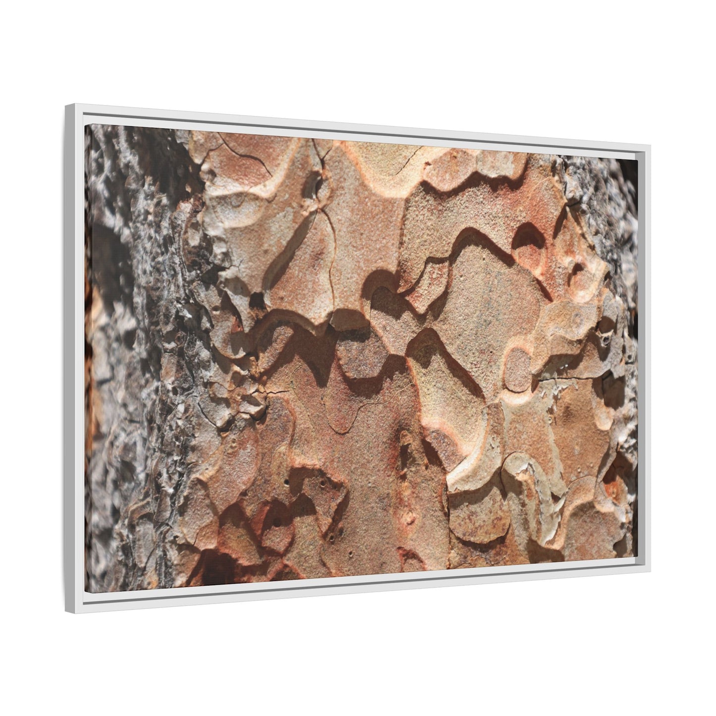 Rust and Stone - Unique Stretched Canvas Wall Art - Art By Earth