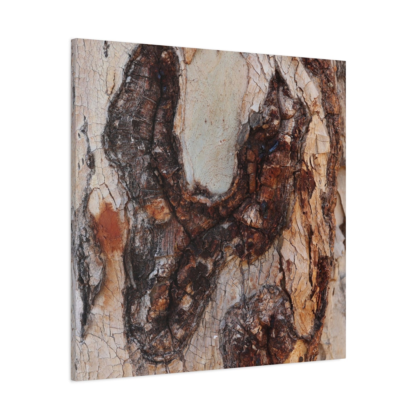 Arboreal Echoes - Unique Frameless Canvas Wall Art - Art By Earth