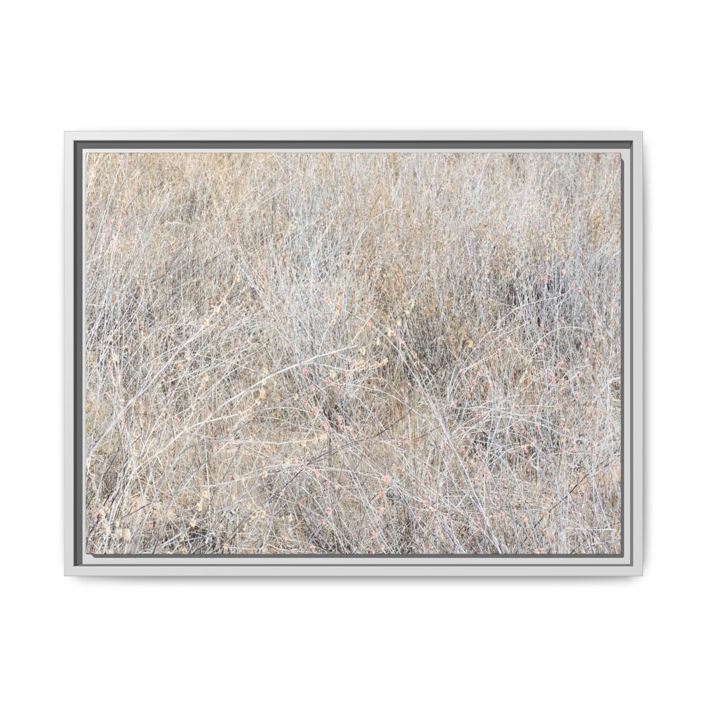 Whispers of Dry Grass - Unique Stretched Canvas Wall Art - Art By Earth
