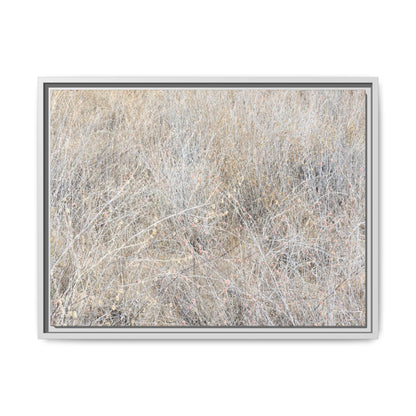 Whispers of Dry Grass - Unique Stretched Canvas Wall Art - Art By Earth