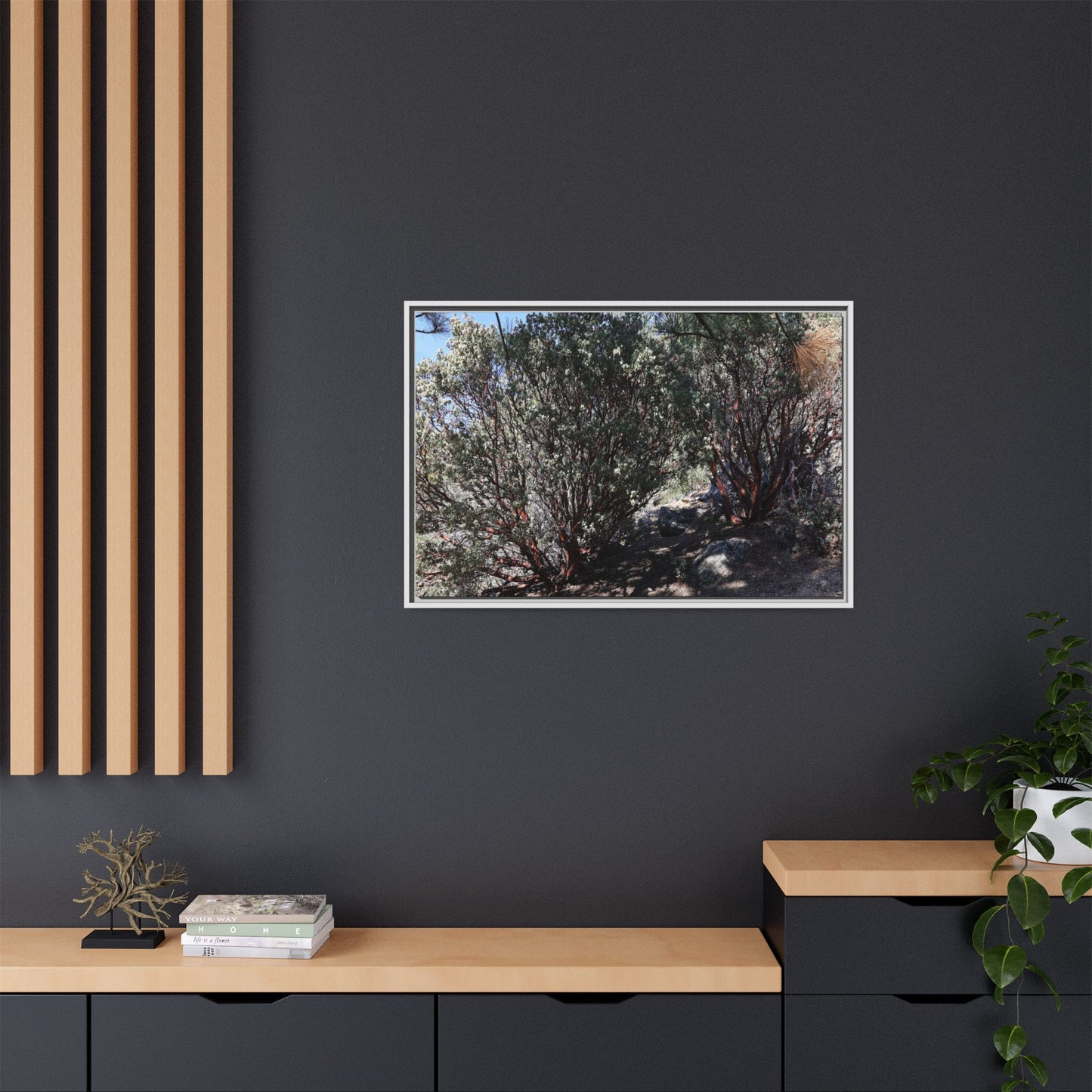 Desert Trail Through Blooming Manzanita - Unique Stretched Canvas Wall Art