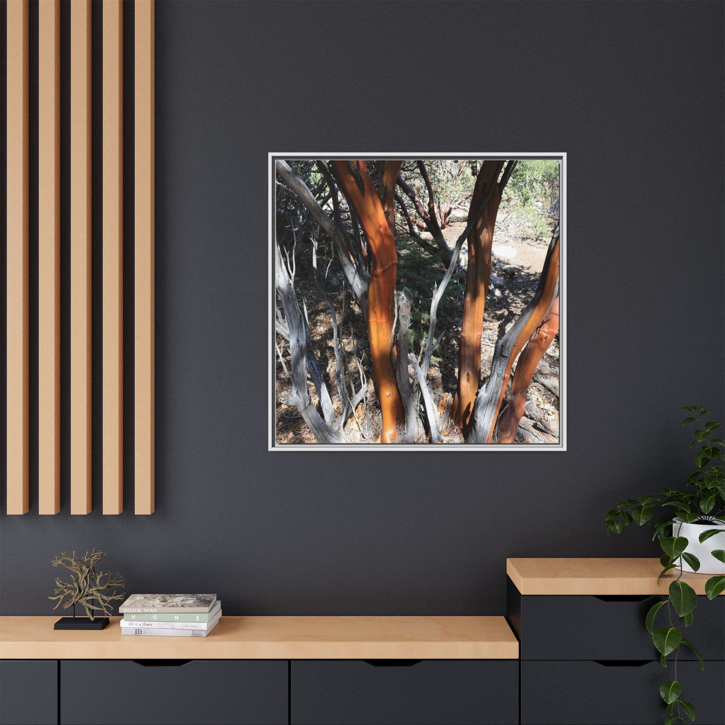 Eucalyptus Grove - Unique Stretched Canvas Wall Art