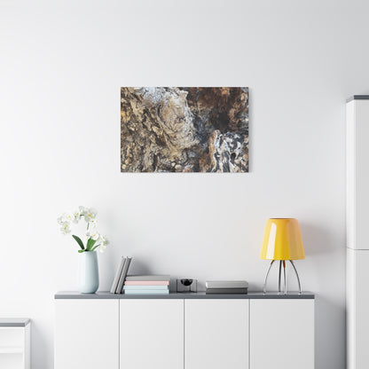 Weathered Bark Texture - Unique Frameless Canvas Wall Art - Art By Earth