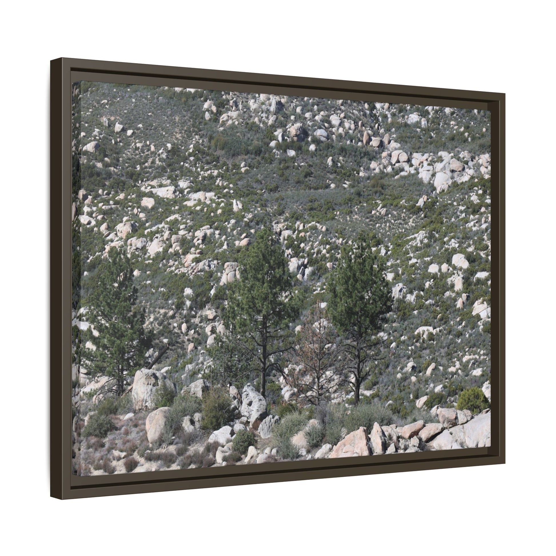 Rocky Hillside with Pine Trees - Unique Stretched Canvas Wall Art - Art By Earth