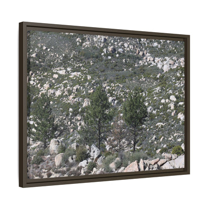 Rocky Hillside with Pine Trees - Unique Stretched Canvas Wall Art - Art By Earth