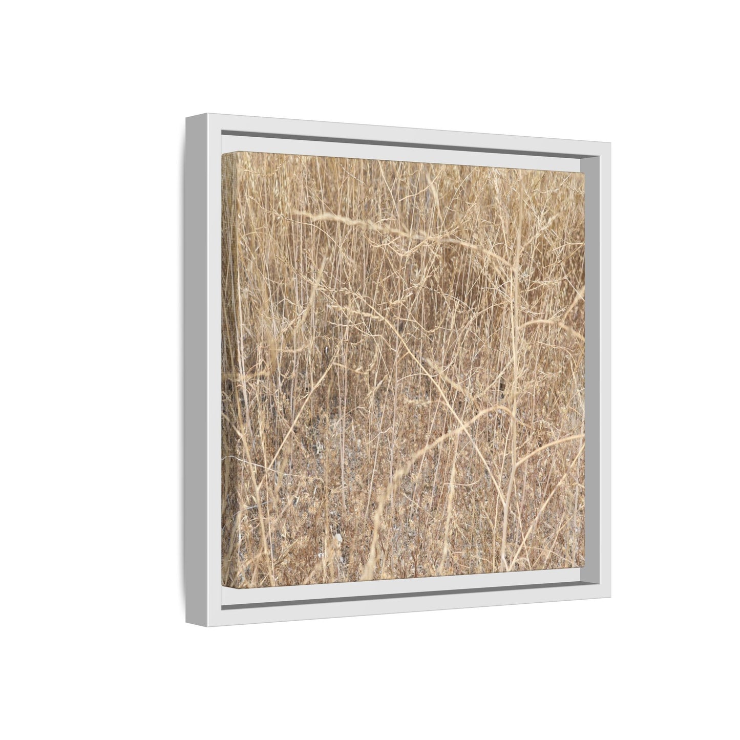 Golden Stalks - Unique Stretched Canvas Wall Art - Art By Earth
