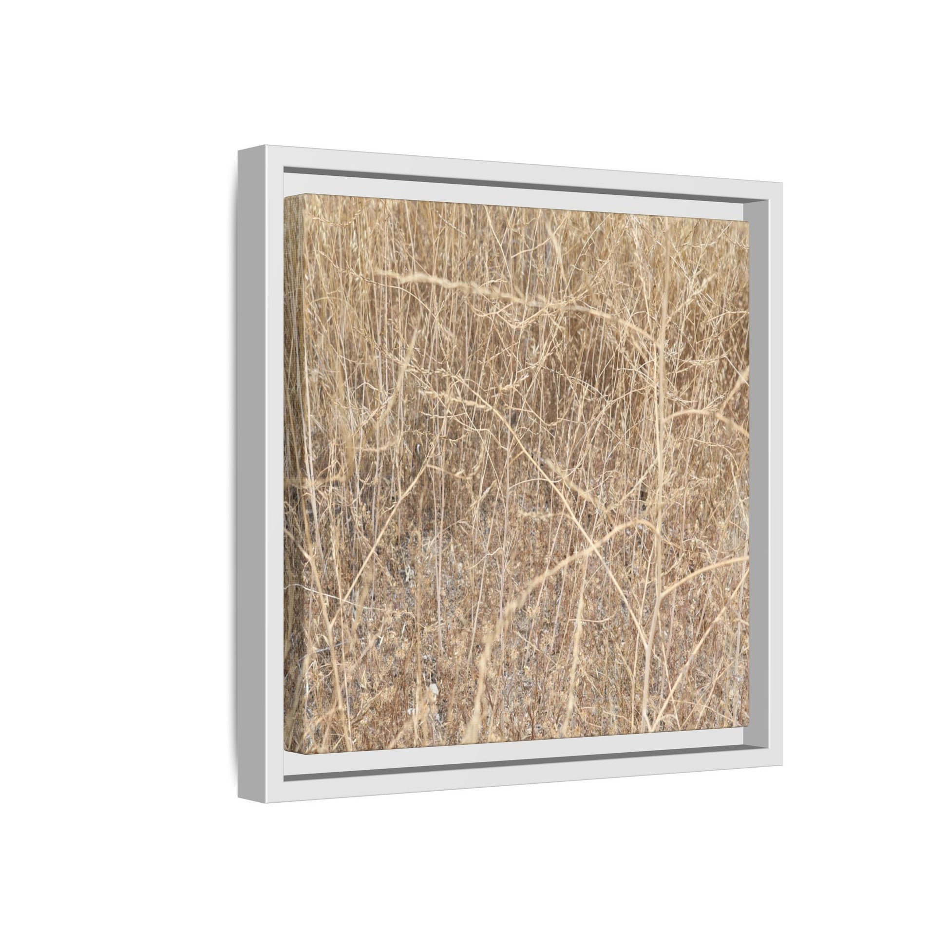 Golden Stalks - Unique Stretched Canvas Wall Art - Art By Earth
