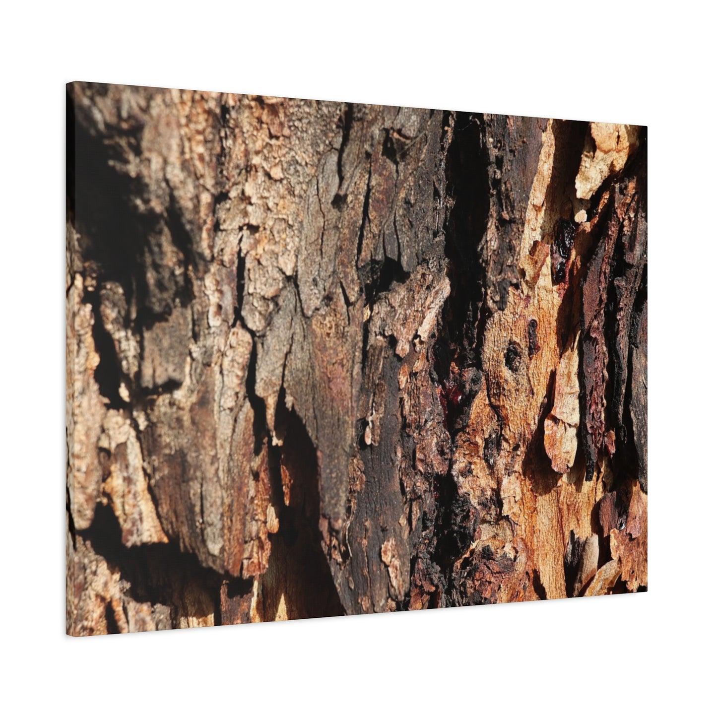 Wooden Terrain - Unique Frameless Canvas Wall Art - Art By Earth