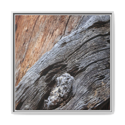 Time's Mark on Timber - Unique Stretched Canvas Wall Art - Art By Earth