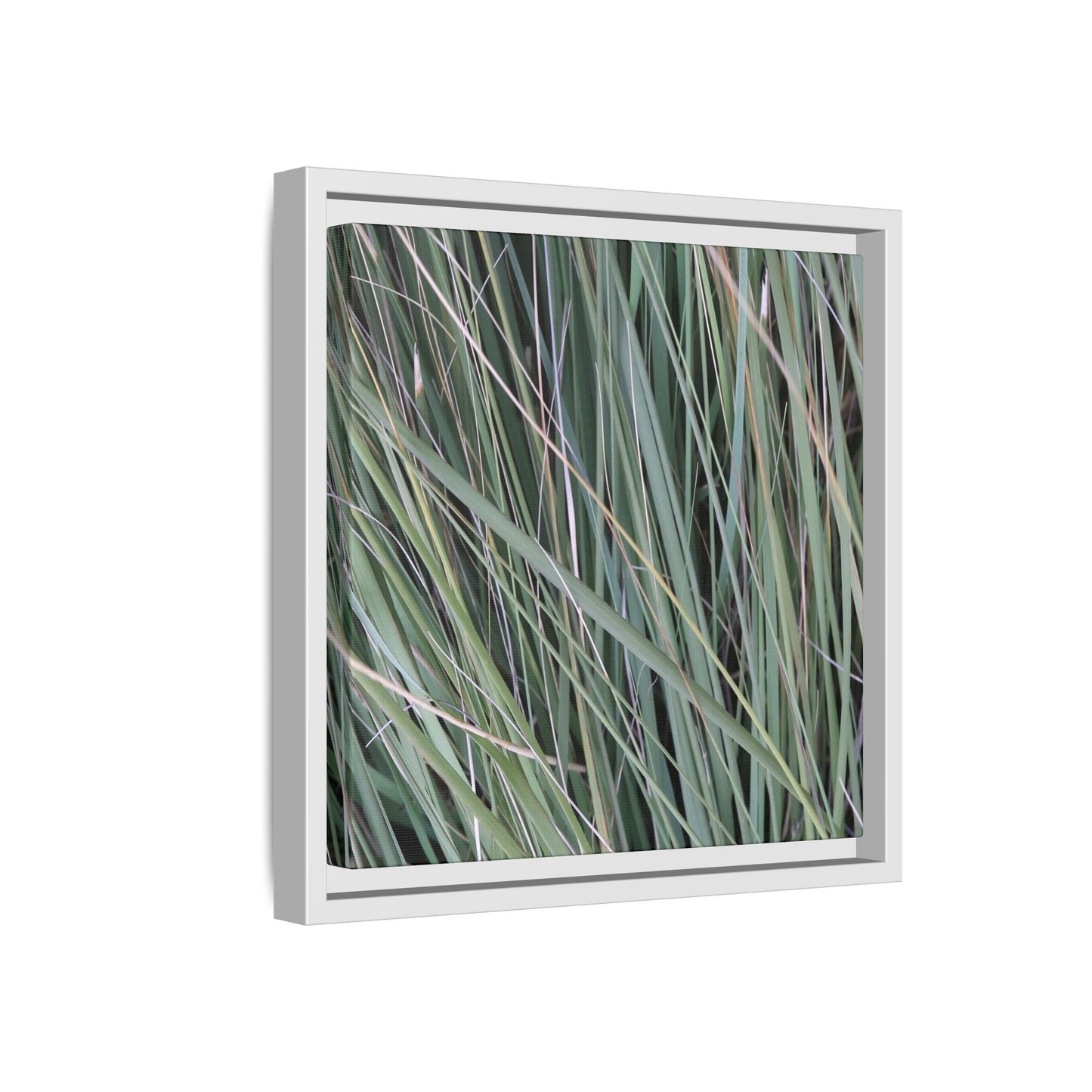 Grassland Symphony - Unique Stretched Canvas Wall Art - Art By Earth