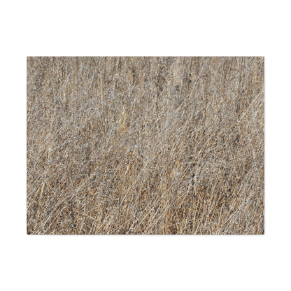 Silent Prairie - Unique Frameless Canvas Wall Art - Art By Earth