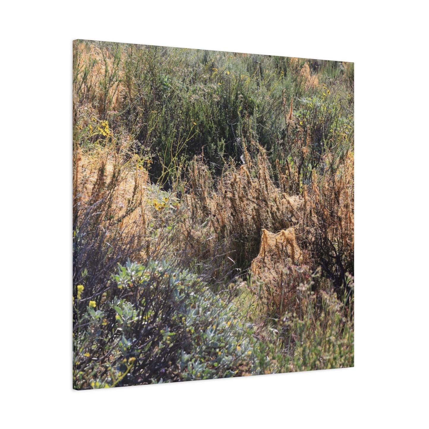 Sagebrush Desert Landscape - Unique Frameless Canvas Wall Art - Art By Earth