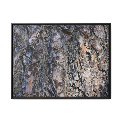 Weathered Patterns - Unique Stretched Canvas Wall Art - Art By Earth