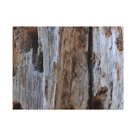 Timber Tapestry - Unique Frameless Canvas Wall Art - Art By Earth