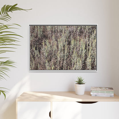 Sage Fields Forever - Unique Stretched Canvas Wall Art - Art By Earth
