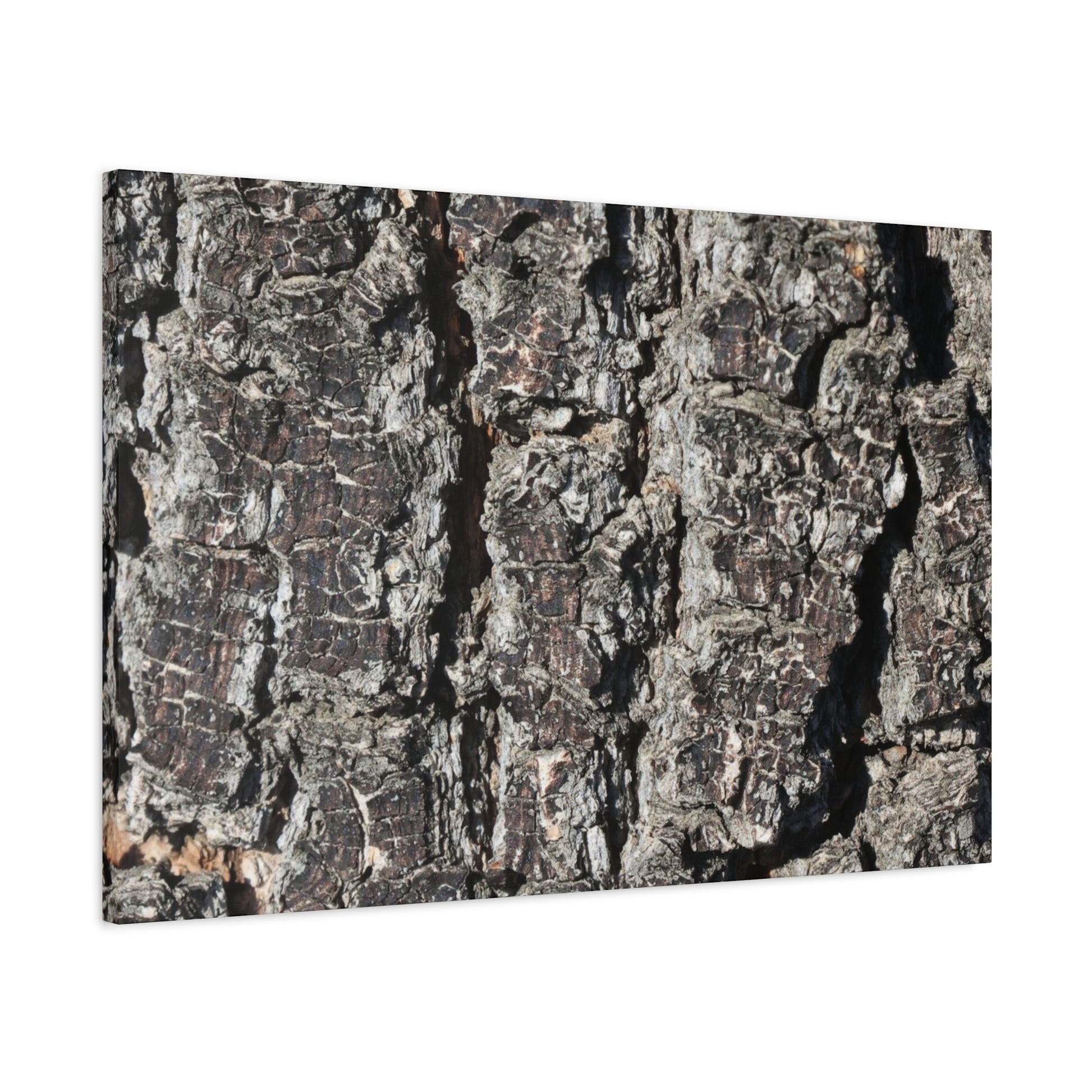 Cracked Skin of Earth - Unique Frameless Canvas Wall Art - Art By Earth