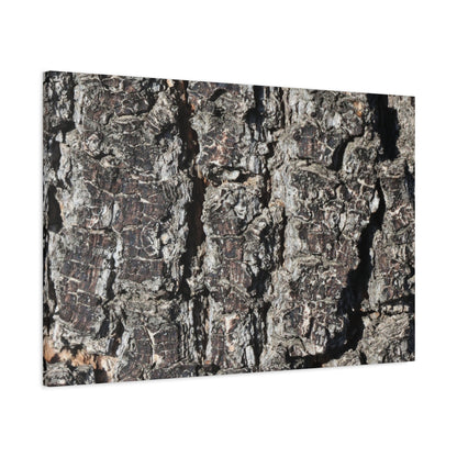 Cracked Skin of Earth - Unique Frameless Canvas Wall Art - Art By Earth
