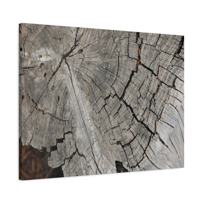 Cracked Memories - Unique Frameless Canvas Wall Art - Art By Earth