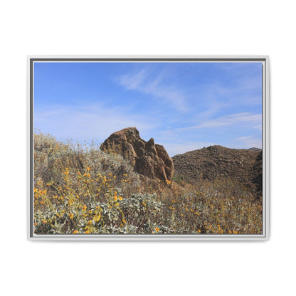 Golden Flowers in Arid Landscape - Unique Stretched Canvas Wall Art - Art By Earth