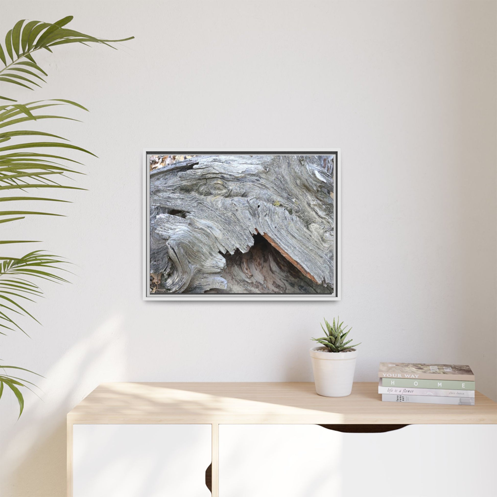 Driftwood Dreams - Unique Stretched Canvas Wall Art - Art By Earth